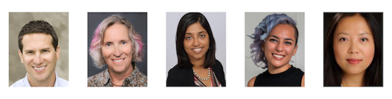 2025 Distinguished Research Awards Annual Report, headshots of 5 faculty