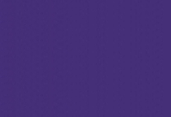 purple background 350x240