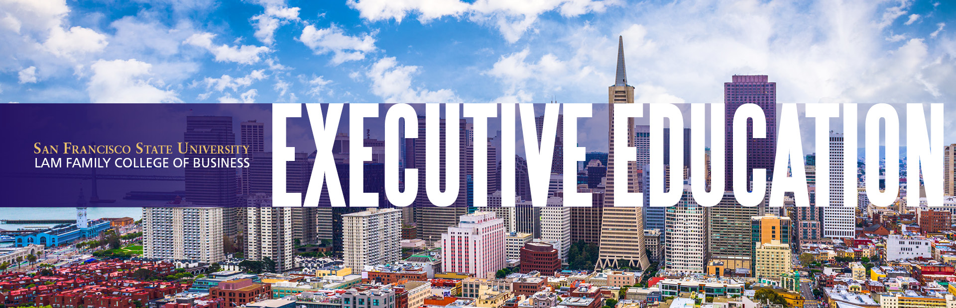 aerial shot of downtown San Francisco, College of Business Executive Education, San Francisco State University