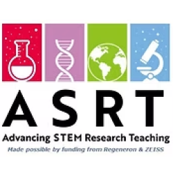 IE ASRT Logo